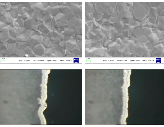 ��ʨ����ᡤ�������-����Ժ�