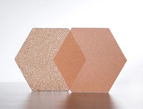 ��ʨ����ᡤ�������-����Ժ�