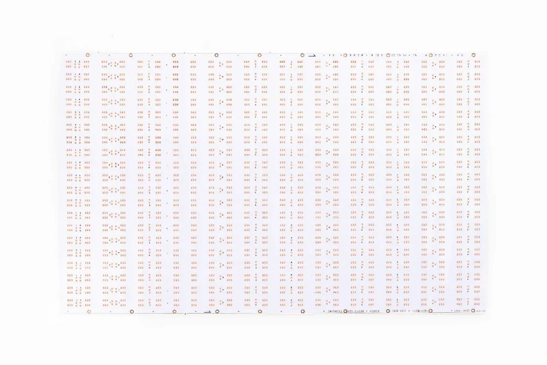 ��ʨ����ᡤ�������-����Ժ�