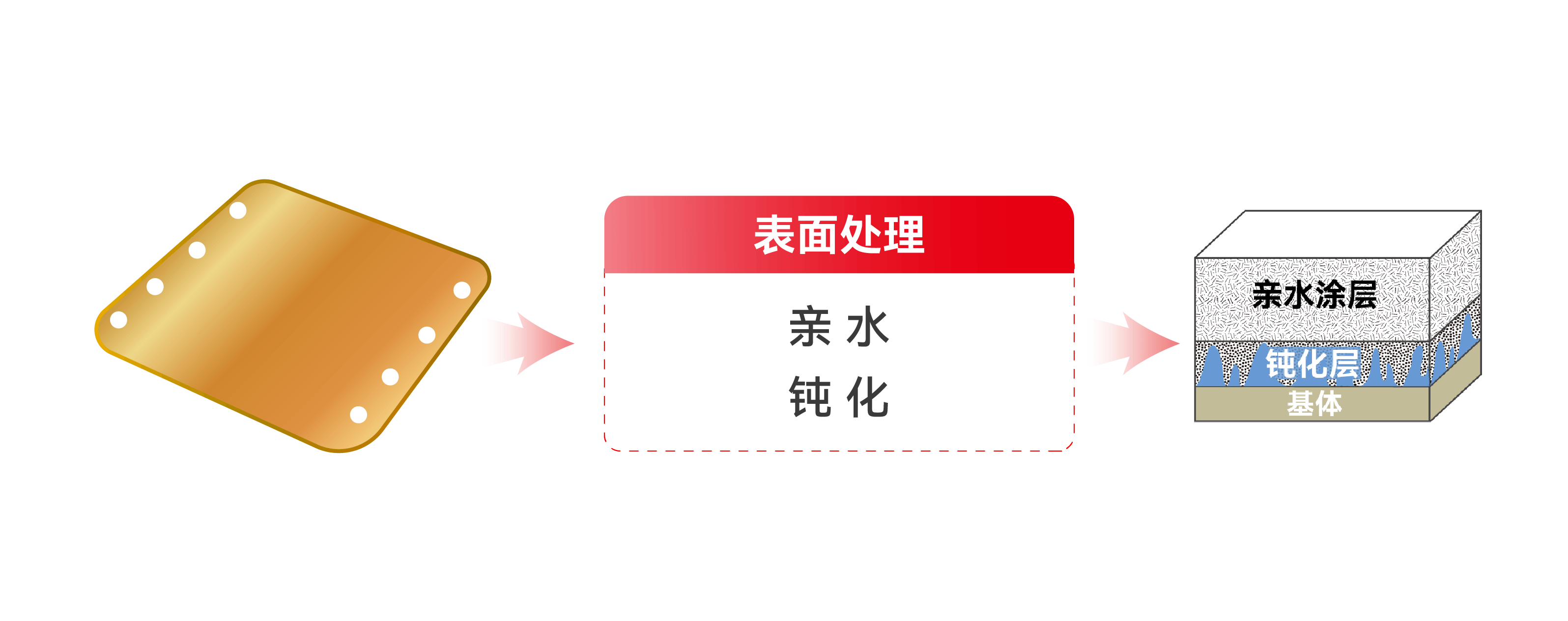 ��ʨ����ᡤ�������-����Ժ�